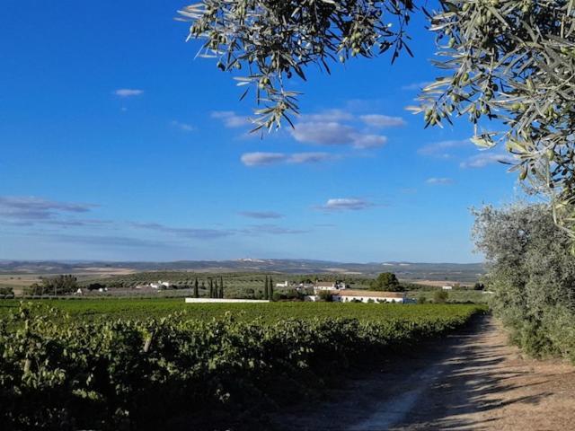 La Capellania De Alvear Montilla Dış mekan fotoğraf